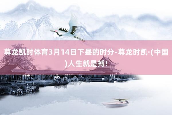 尊龙凯时体育3月14日下昼的时分-尊龙时凯·(中国)人生就是搏!