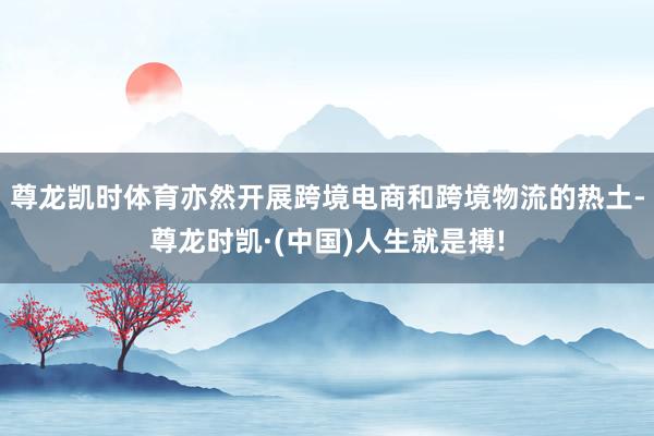 尊龙凯时体育亦然开展跨境电商和跨境物流的热土-尊龙时凯·(中国)人生就是搏!