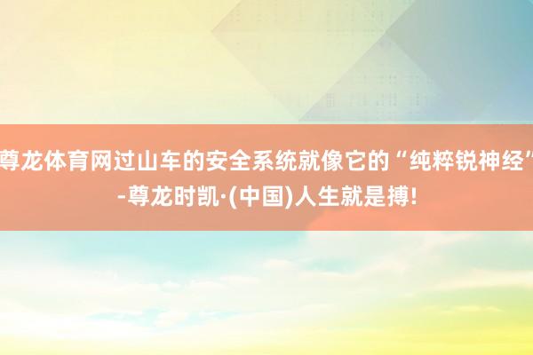 尊龙体育网过山车的安全系统就像它的“纯粹锐神经”-尊龙时凯·(中国)人生就是搏!