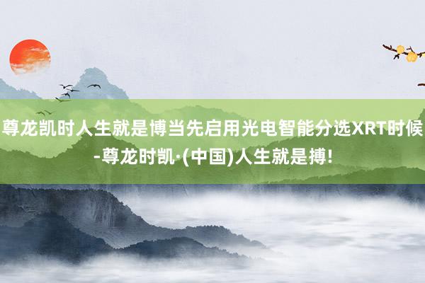 尊龙凯时人生就是博当先启用光电智能分选XRT时候-尊龙时凯·(中国)人生就是搏!