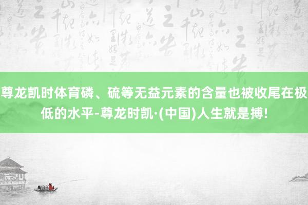 尊龙凯时体育磷、硫等无益元素的含量也被收尾在极低的水平-尊龙时凯·(中国)人生就是搏!