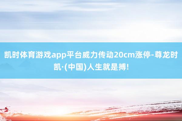 凯时体育游戏app平台威力传动20cm涨停-尊龙时凯·(中国)人生就是搏!