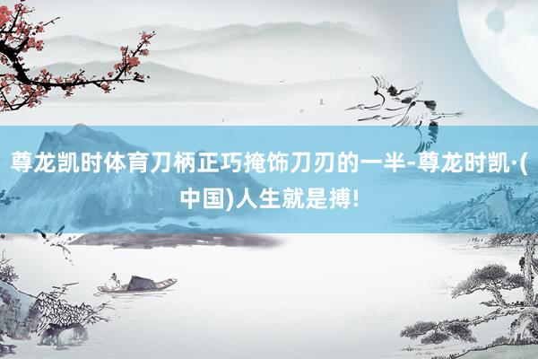 尊龙凯时体育刀柄正巧掩饰刀刃的一半-尊龙时凯·(中国)人生就是搏!