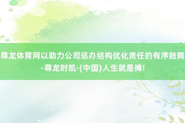 尊龙体育网以助力公司惩办结构优化责任的有序鼓舞-尊龙时凯·(中国)人生就是搏!