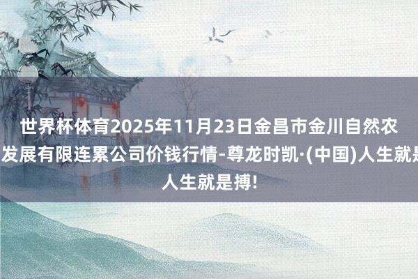 世界杯体育2025年11月23日金昌市金川自然农家具发展有限连累公司价钱行情-尊龙时凯·(中国)人生就是搏!