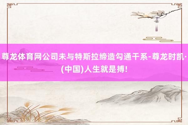 尊龙体育网公司未与特斯拉缔造勾通干系-尊龙时凯·(中国)人生就是搏!