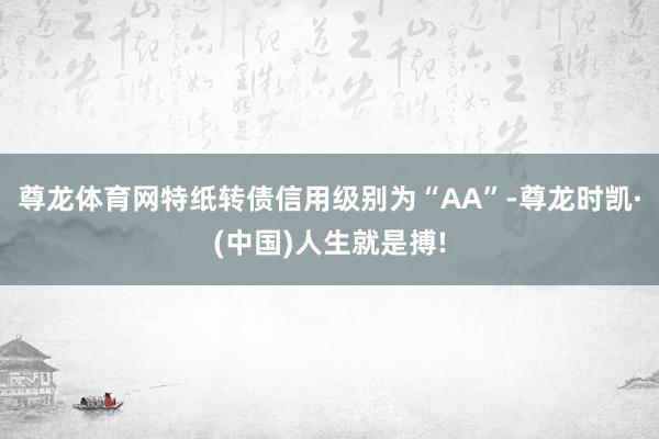 尊龙体育网特纸转债信用级别为“AA”-尊龙时凯·(中国)人生就是搏!