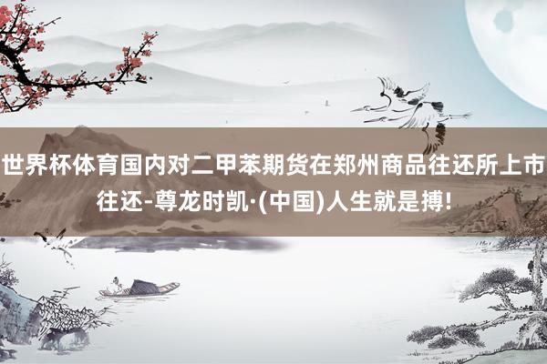 世界杯体育国内对二甲苯期货在郑州商品往还所上市往还-尊龙时凯·(中国)人生就是搏!