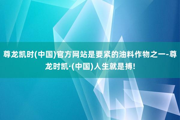 尊龙凯时(中国)官方网站是要紧的油料作物之一-尊龙时凯·(中国)人生就是搏!