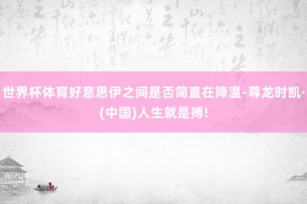 世界杯体育好意思伊之间是否简直在降温-尊龙时凯·(中国)人生就是搏!