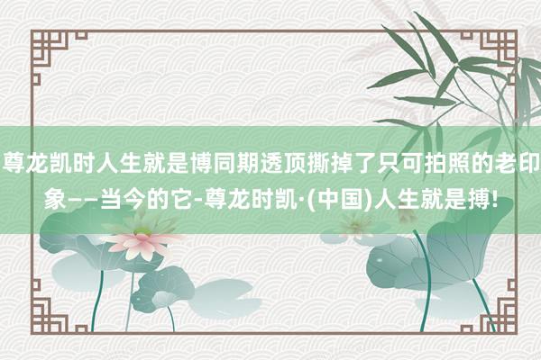 尊龙凯时人生就是博同期透顶撕掉了只可拍照的老印象——当今的它-尊龙时凯·(中国)人生就是搏!