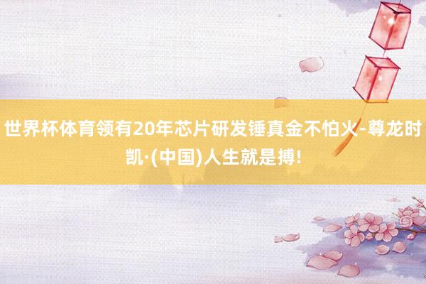 世界杯体育领有20年芯片研发锤真金不怕火-尊龙时凯·(中国)人生就是搏!